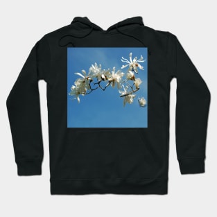 Be Free - White Blossoms Floral Array - White Botanicals against a Blue Sky Hoodie